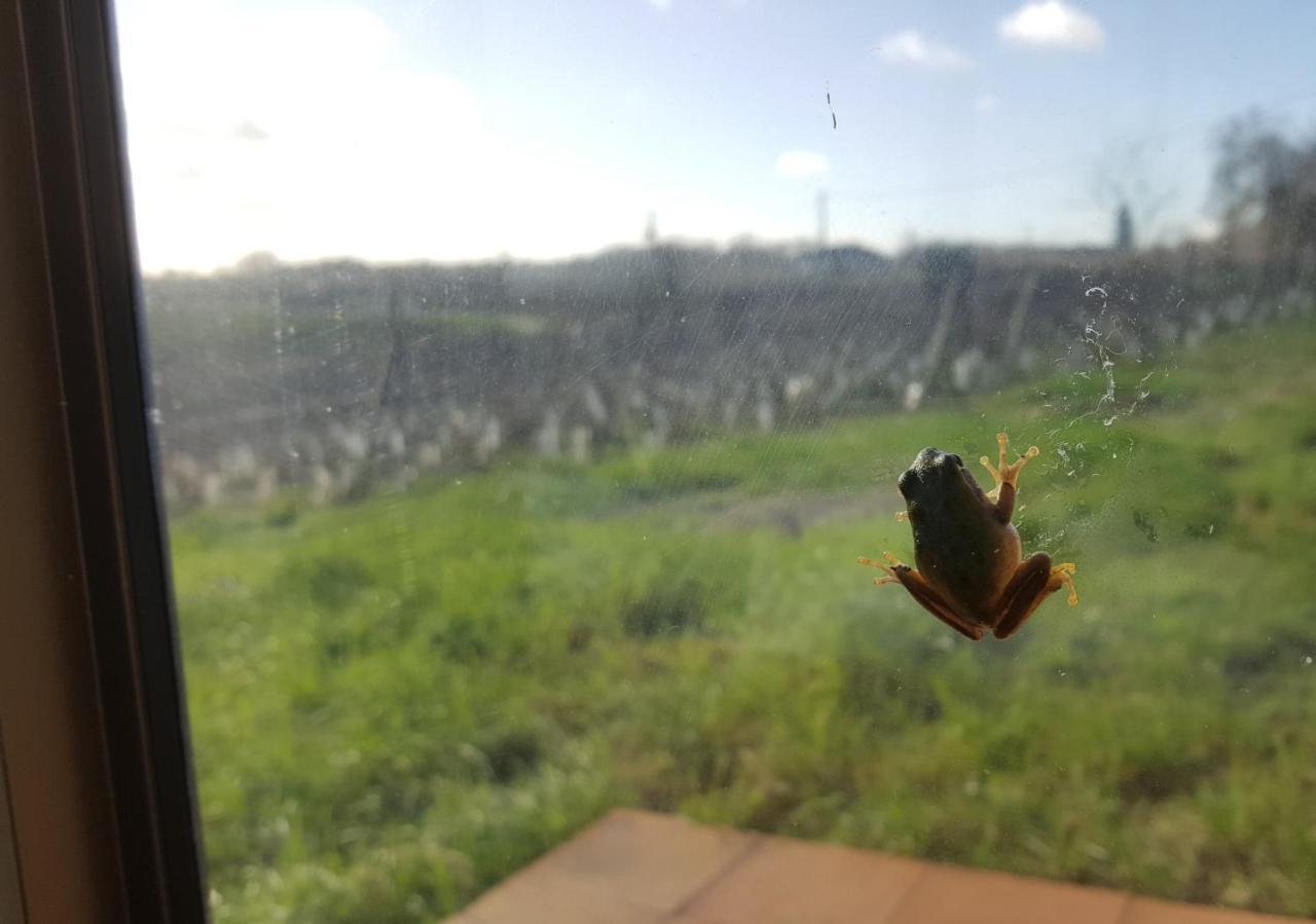 Chateau Le Truch Montussan Bagian luar foto