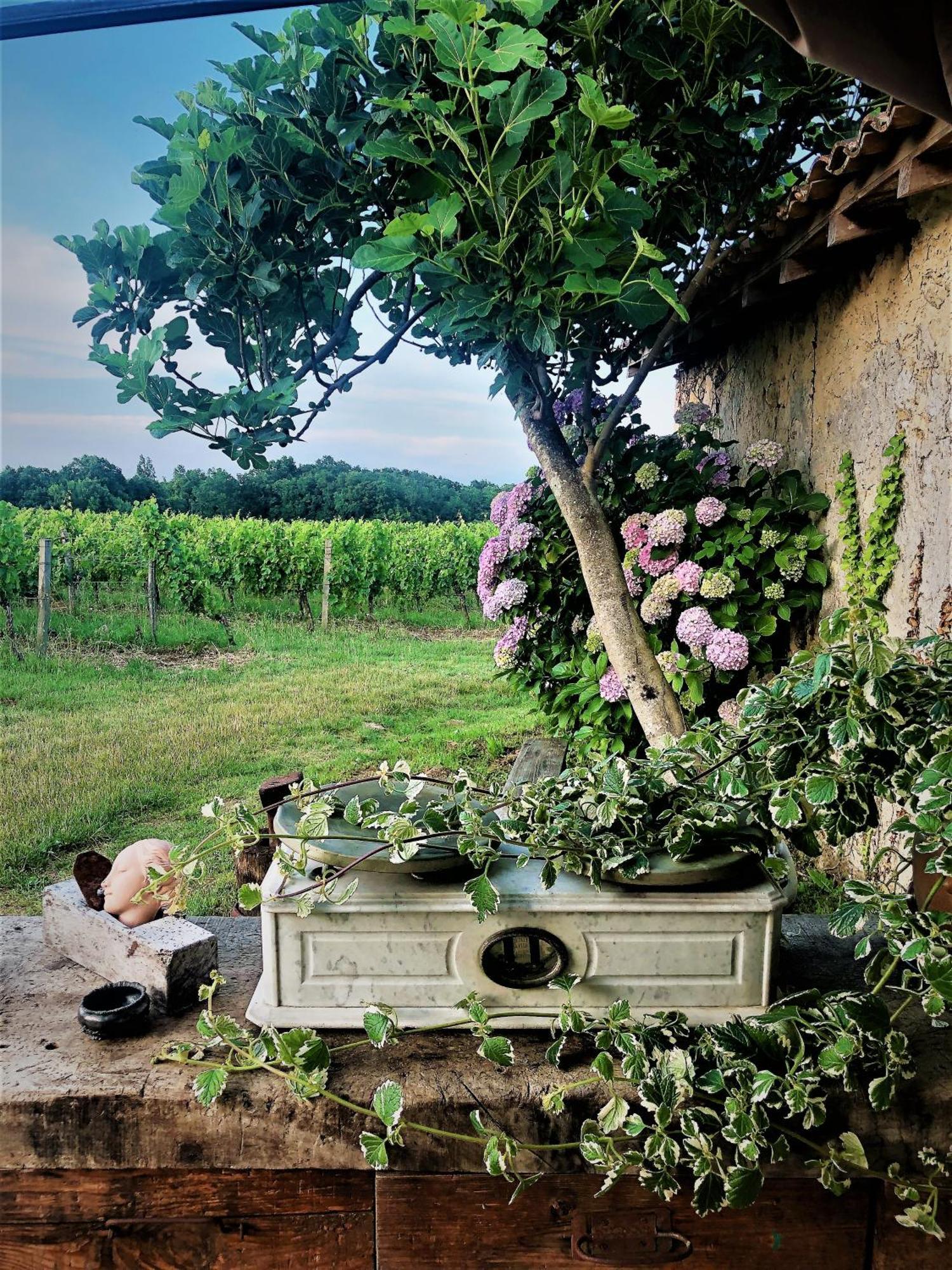 Chateau Le Truch Montussan Bagian luar foto